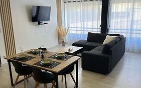 Grand appartement Roanne centre